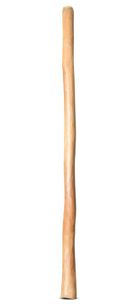 Natural Finish Didgeridoo (TW1350)
